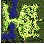 gef_fild06