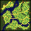 lasa_fild01